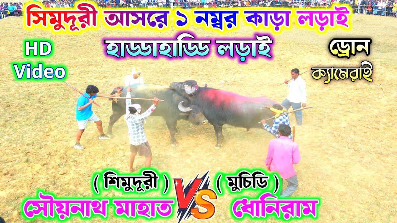 ড্রোন ক্যামেরাই শিমুদূরী আসরে ১ নং কাড়া লড়াই !! সৌয়নাথ মাহাত vs ধোনিরাম মাহাত মুচিডি 