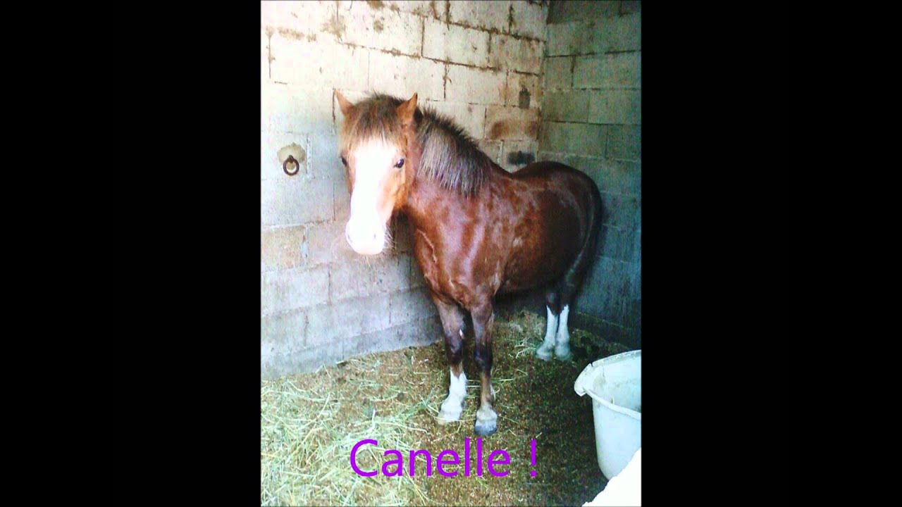 Club Hippique de Nice