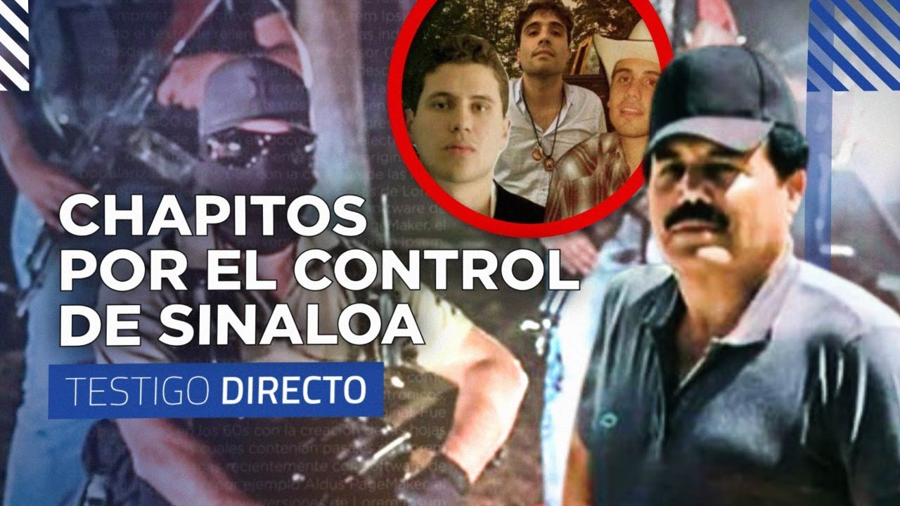 La GUERRA entre los Chapitos, el Mayo Zambada y el Guano - Testigo Directo