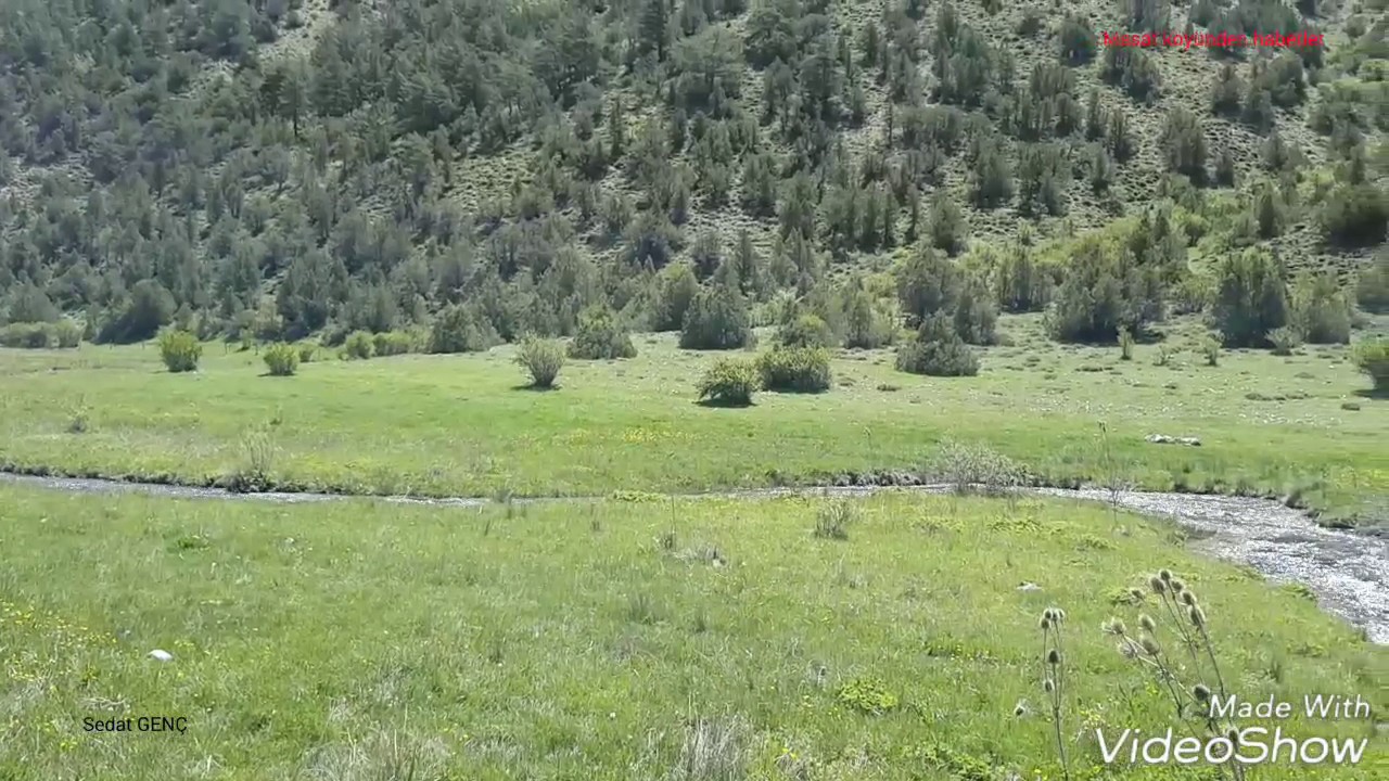 Bayburt  Masat köyünün Yaylası Büyükdere su orman ve Doğa harikası