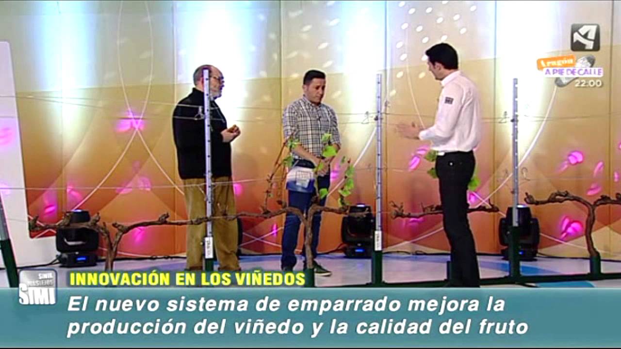 NEOVID - Sin ir más lejos - Aragón TV