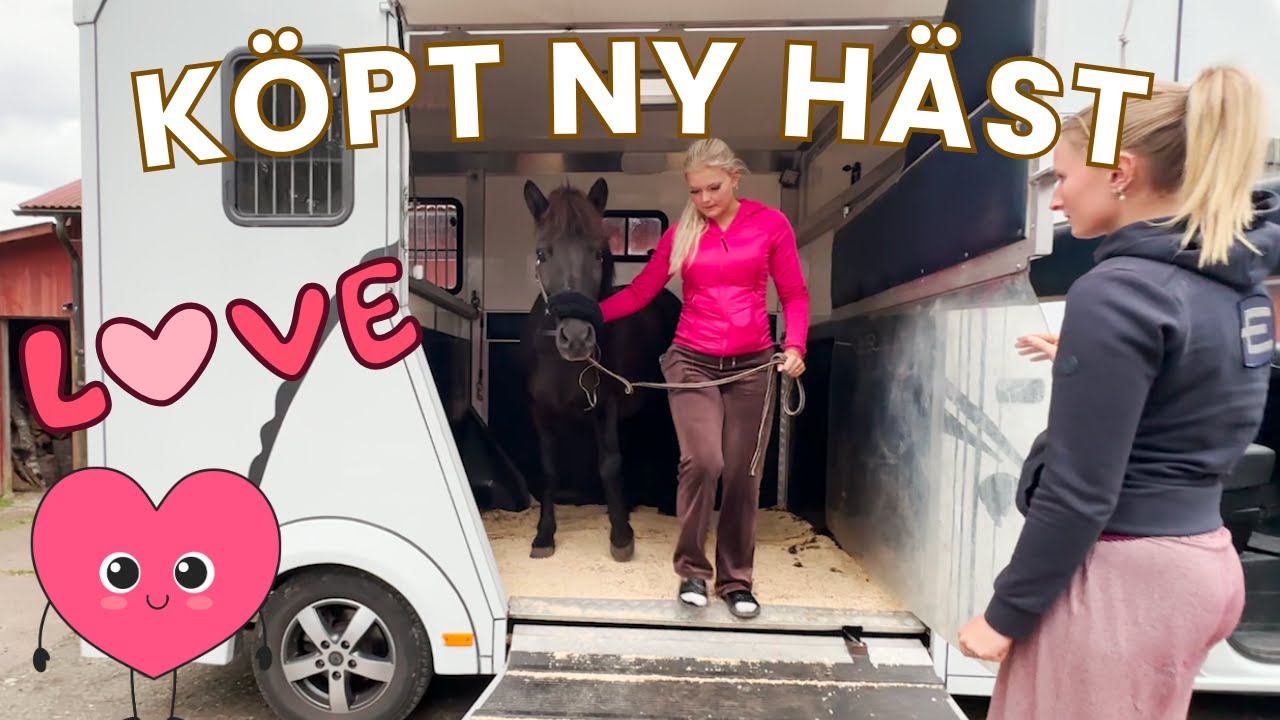 HÄMTAR VÅR NYA HÄST. OCH LÄMNAR OLLIE. SNYFT.