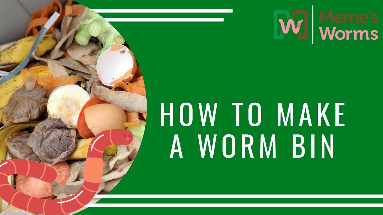 How to create a worm bin.