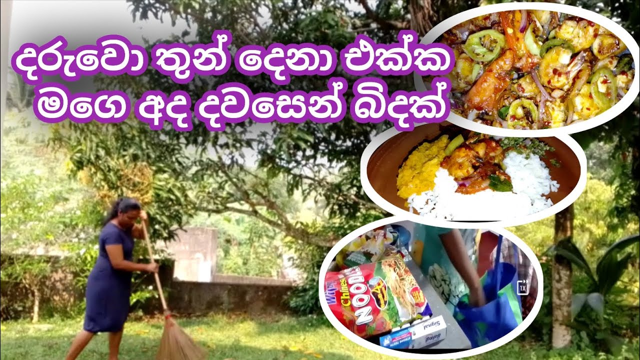 ඉස්සෝ රෙසිපිය... මගෙ අද දවසෙන් බිදක් #dayvlog #prawnsrecipe