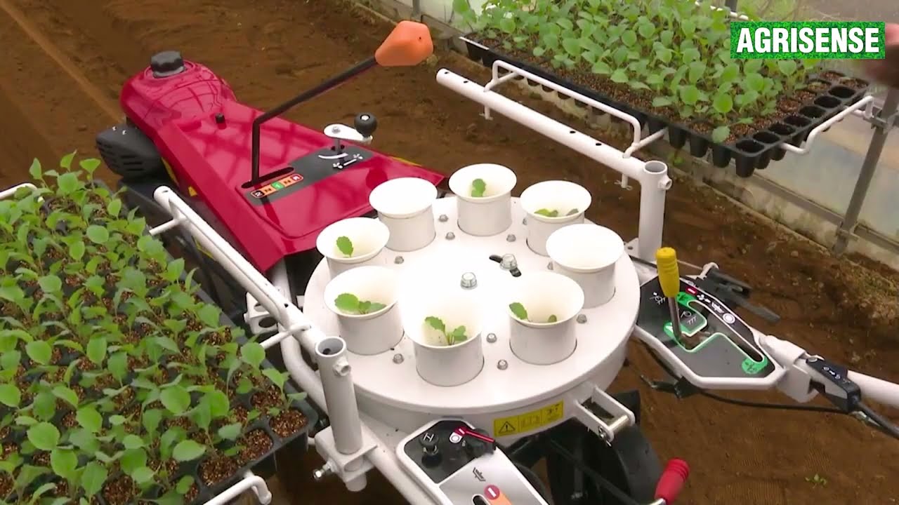 Agriculture Transplant Machine | YANMAR - PH1 | Seed Dibbler | Paddy Machine| Seed Drill groundnut