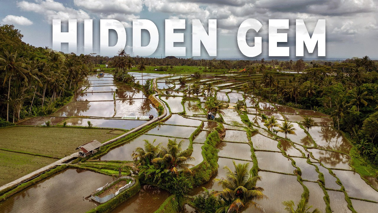 We found a HIDDEN Gem in Ubud | Bali Vlog #11