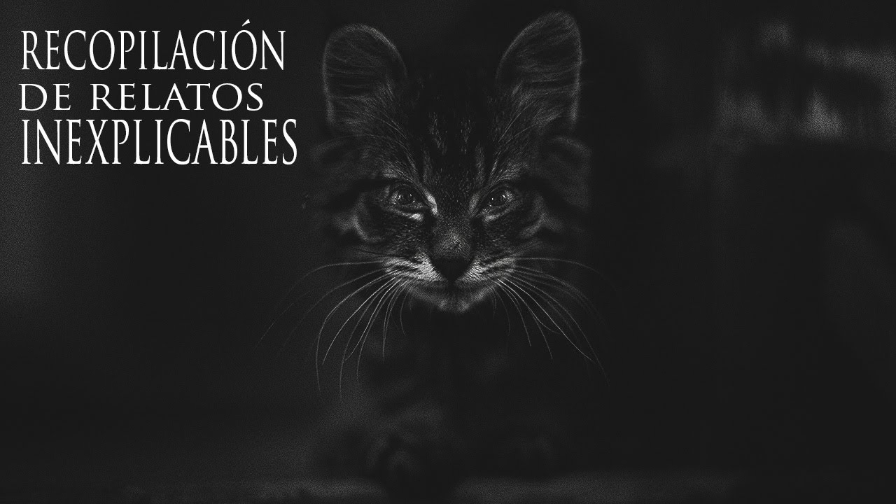 EL GATO QUE DIJO QUE MORIRÉ ESTA NOCHE