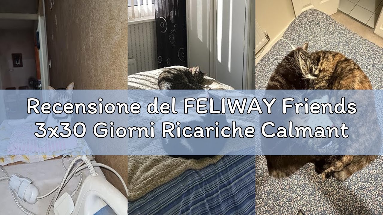 Recensione del FELIWAY Friends 3x30 Giorni Ricariche Calmanti per Gatti per Diffusore di Feromoni, 4
