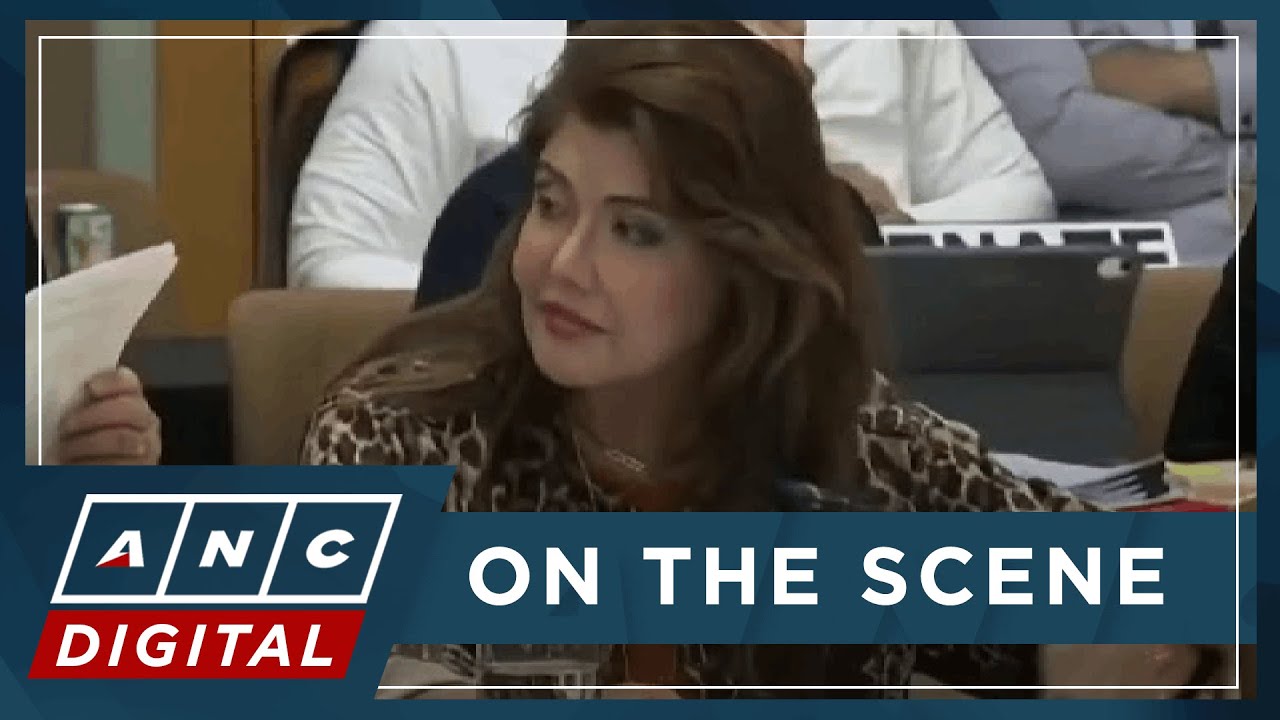 Imee Marcos: Vince Dizon not an engineer, but economist and political aide | ANC