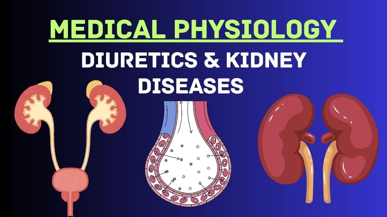 Guyton and Hall Physiology | Chapter 32 | Diuretics and Kidney Diseases