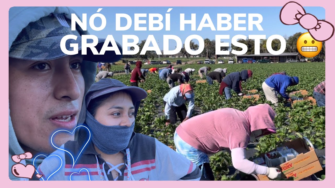 Regresó la mujer más chingona en la pisca de fresa🍓y quizo hacer de las suyas