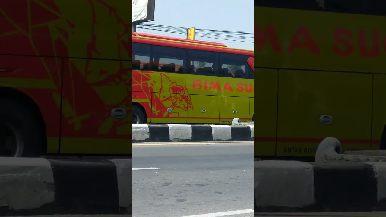 BUS BIMA SUCI TELOLET 😍🔥 BASURI #busmania