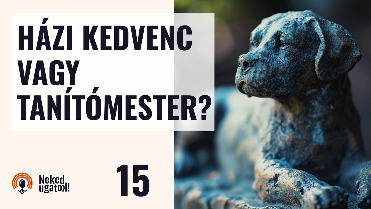 KUTYA - az emberi személyiség fejlődésének segítője | #15