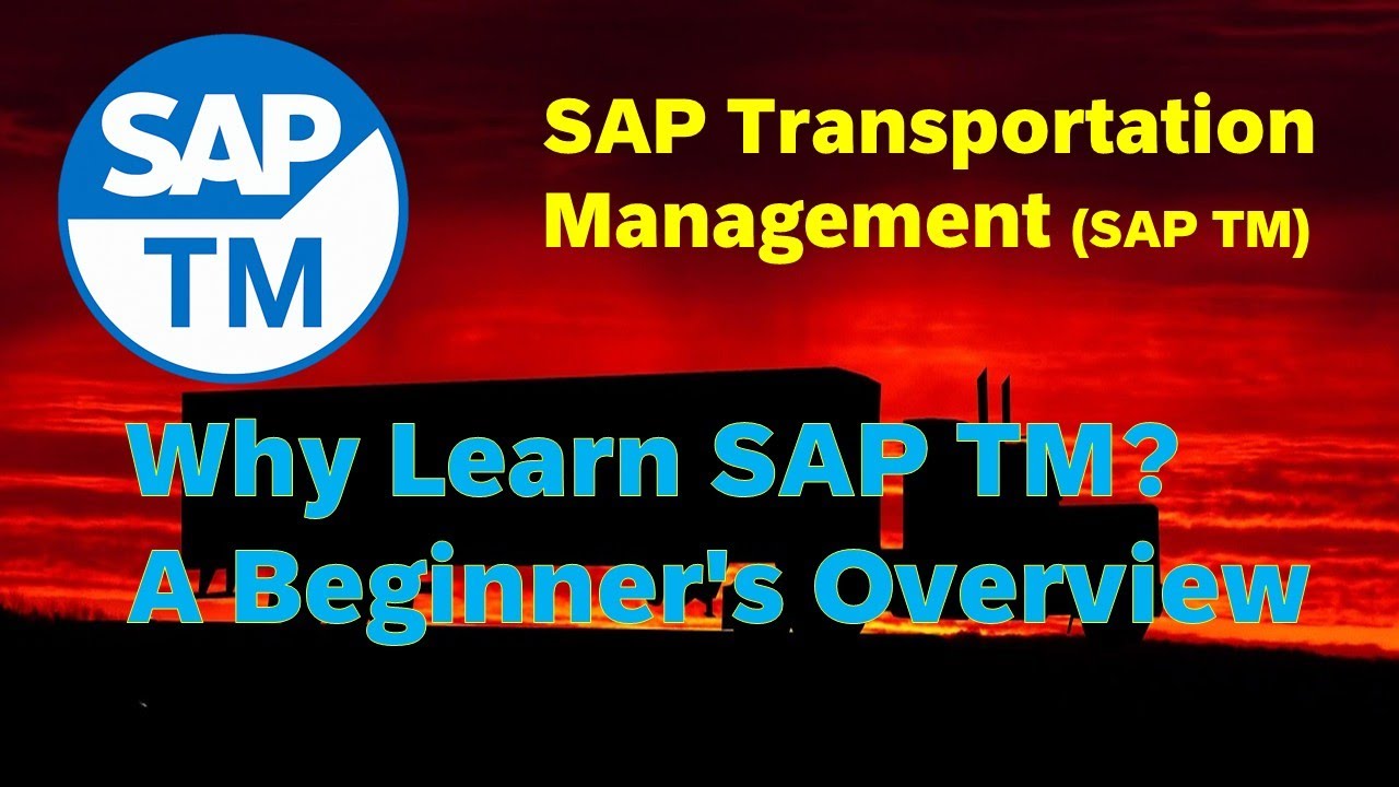 SAP TM for Beginners: A Quick & Easy Overview/Transportation Management Crash Course/Your First Step