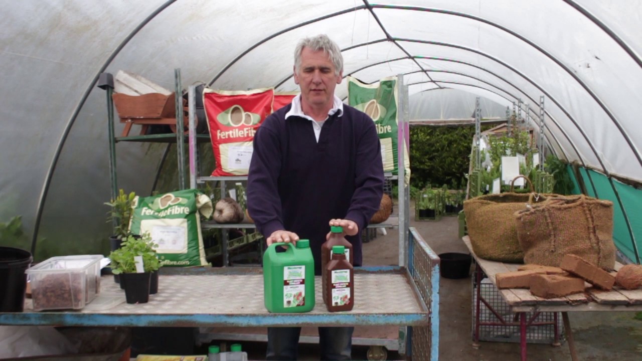 HOW TO USE LIQUID ORGANIC FERTILISER SEAWEED EXTRACT WITH FERTILE FIBRE