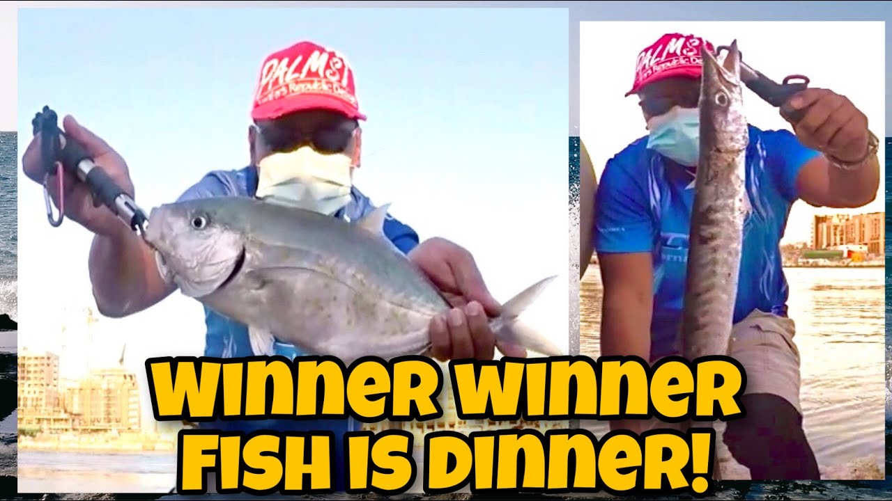 Creek fishing | Light shore jigging and casting | Orange Spotted Trevally | Barracuda | Dubai