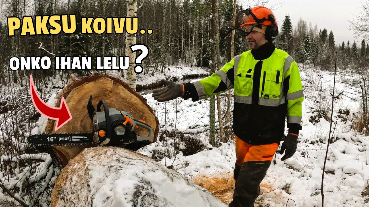 Testataan uusi Nelitahtinen 50cc Moottorisaha! Onko rahan- ja ajanhukkaa?