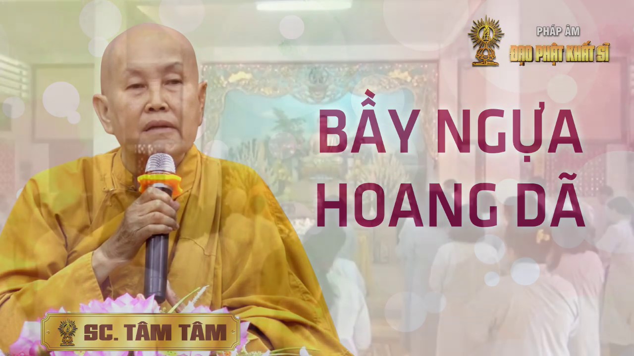 Sư cô Tâm Tâm: Bầy ngựa hoang dã