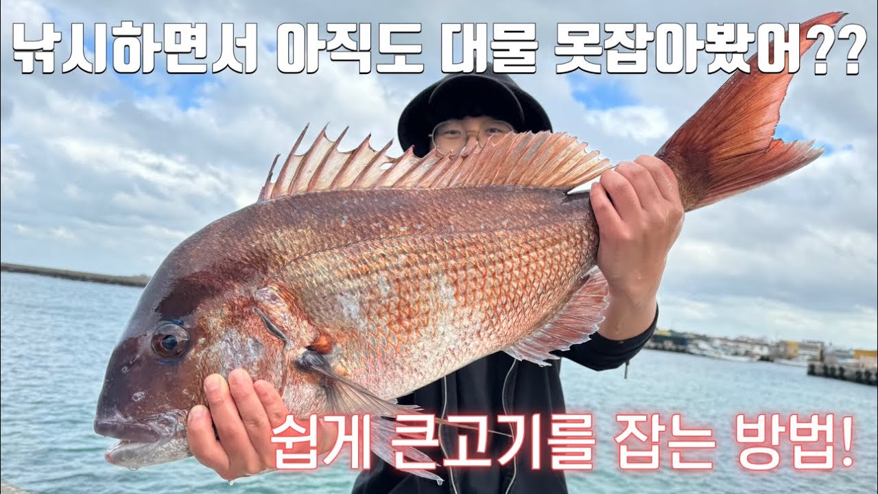 제주도에서 낚시로 대물 잡을 수 있는 방법! 인생 고기 잡아보자~