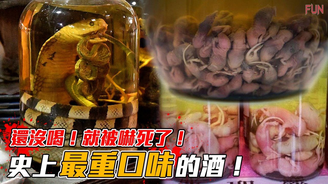 【世界上最噁心的酒】蛇酒？木乃伊酒？糞酒？| 酒鬼看見都後退三步的奇葩酒！