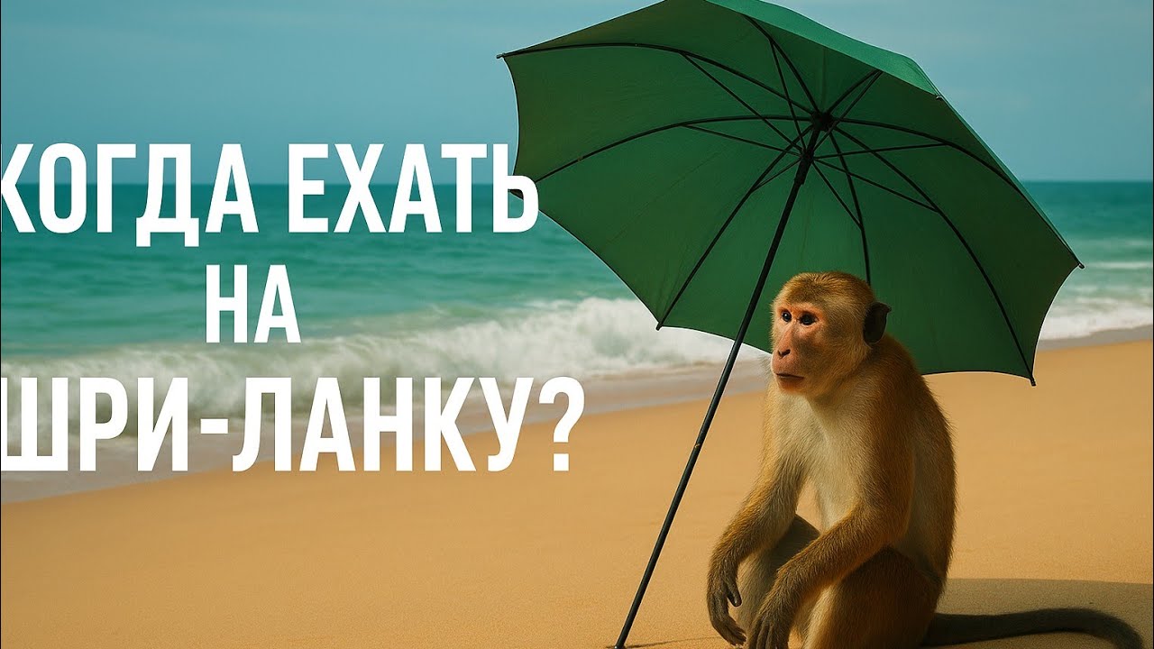 Когда лучше ехать на Шри-Ланку? Сезон 2025 | Погода, дожди, море