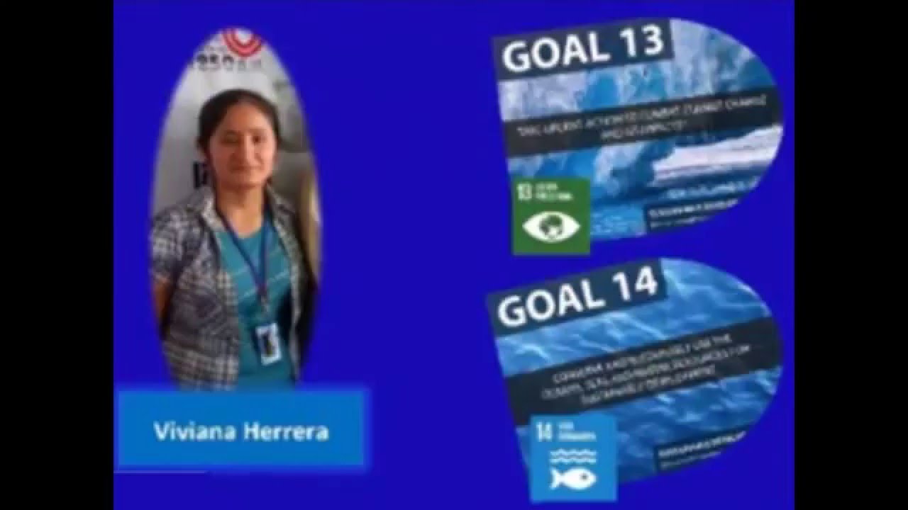Objetivos 13 y 14 . Viviana Herrera