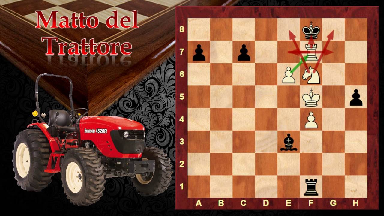 Catalogo dello Scaccomatto - Matto del Trattore 20 - Scacchi