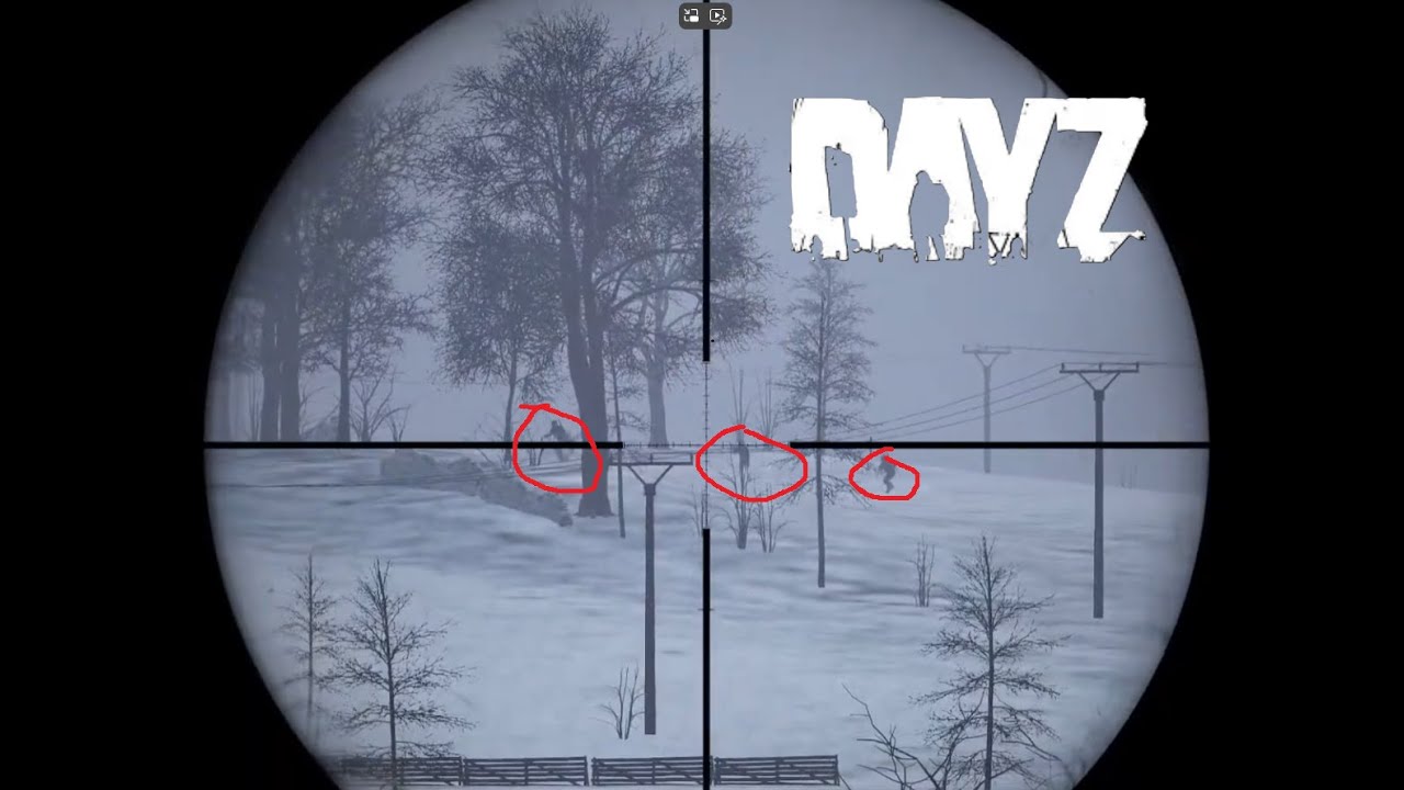DayZ - Solo Sunday Winter Chernarus Action