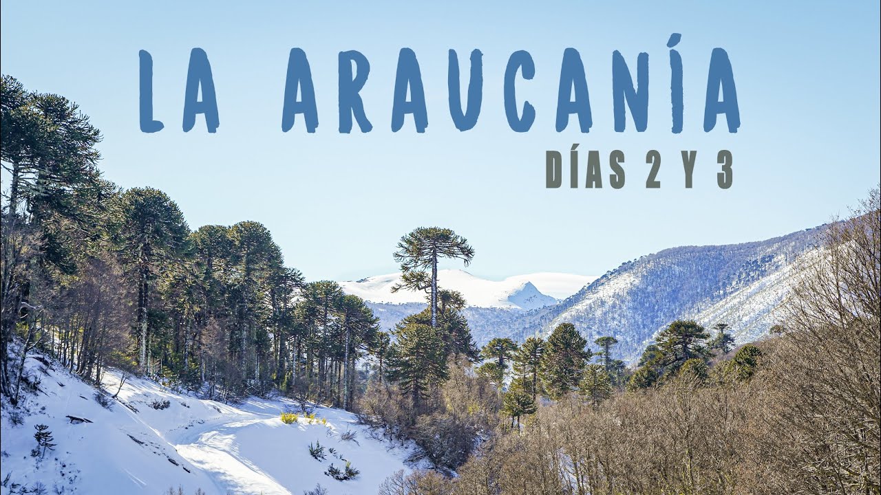 Descubriendo de Malalcahuello a Melipeuco | Sur de Chile Días 2 y 3 | Viaje 4x4
