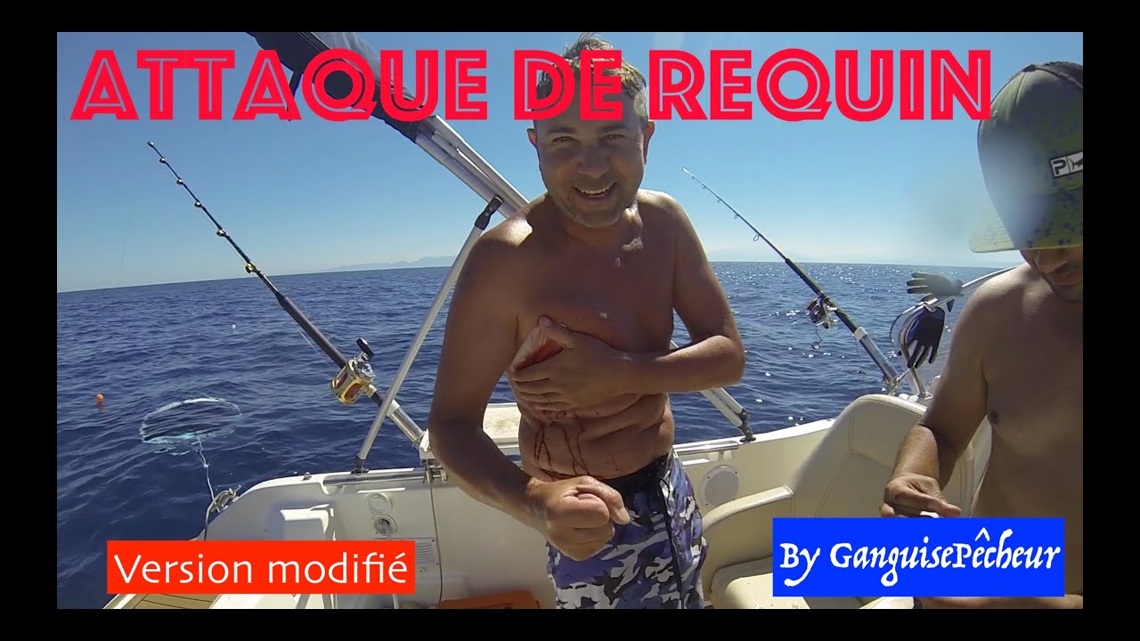 Attaque de Requin en M&eacute;diterran&eacute;e ( Version Non censur&eacute;e !)
