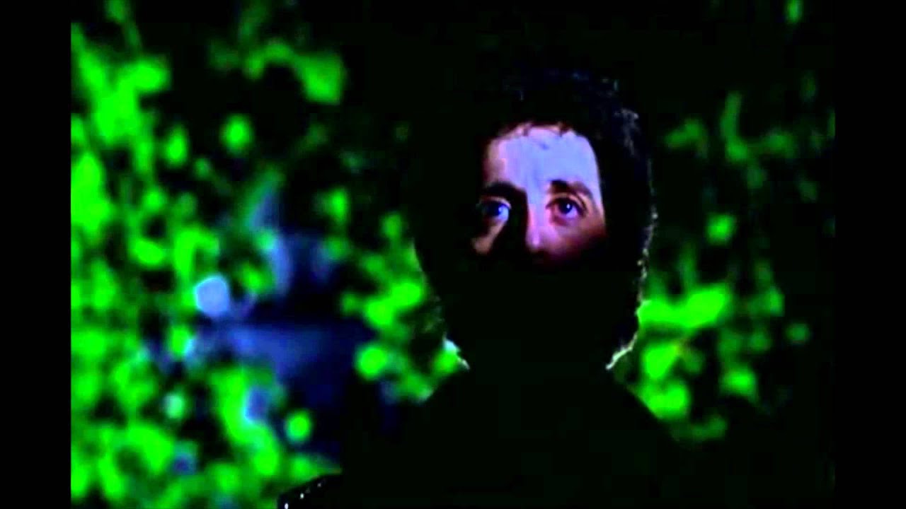 Roach Motel - Wild Luv (Official Music Video)