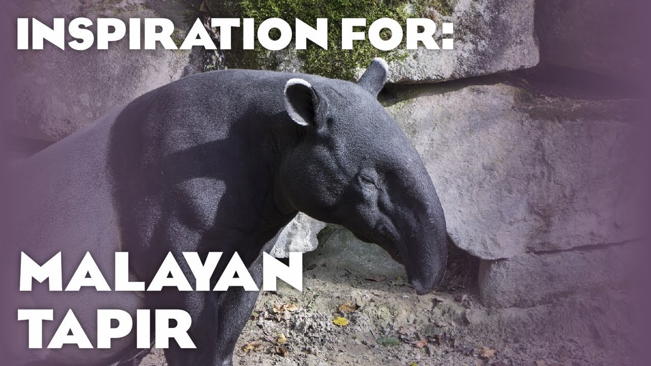 3 Real Malayan Tapir Habitats! (Planet Zoo Inspiration)
