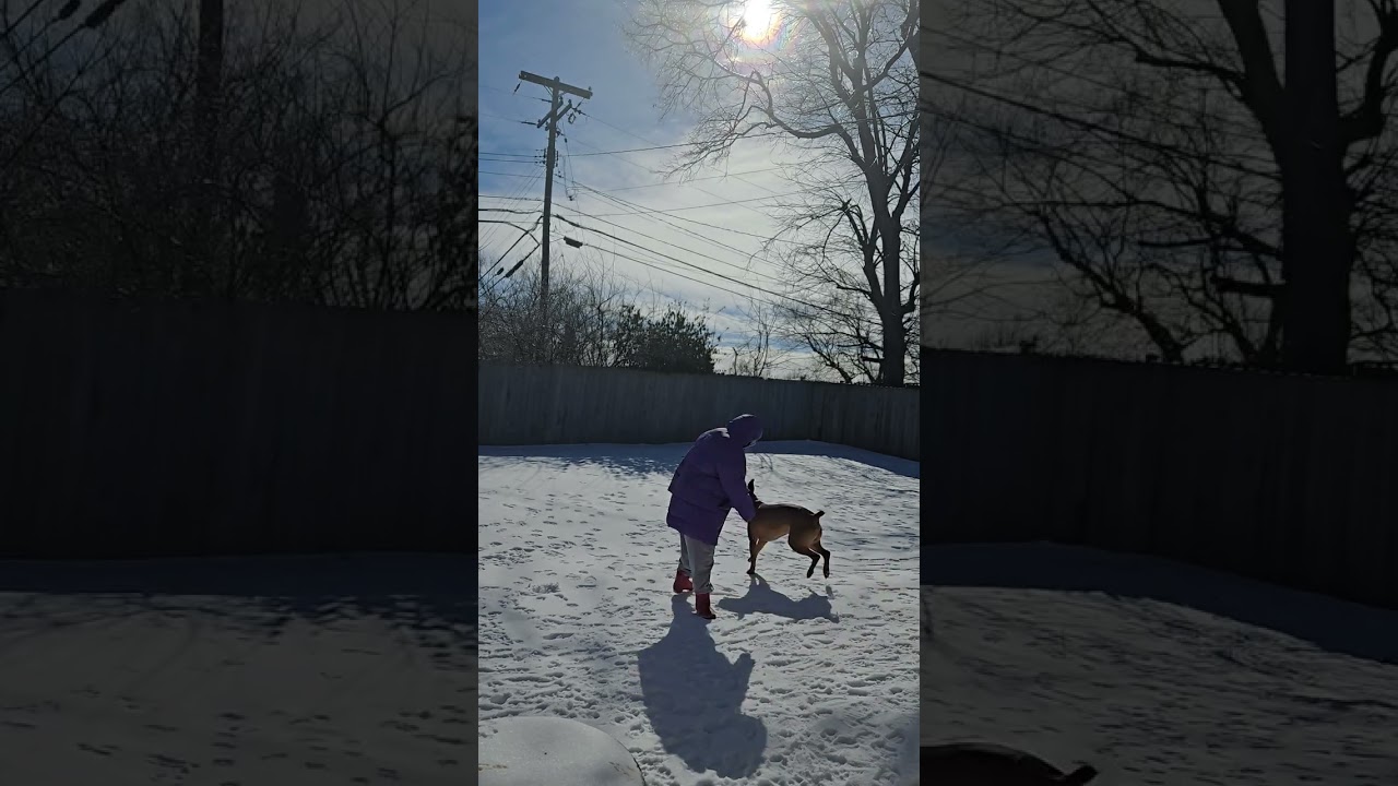 Me and Romeo... snow January 2026