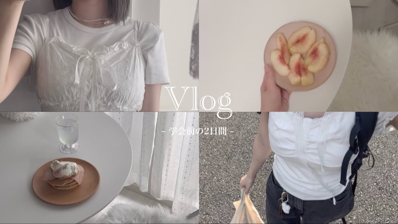 vlog. 学会前の2日間 焦りがないとやる気は出ない