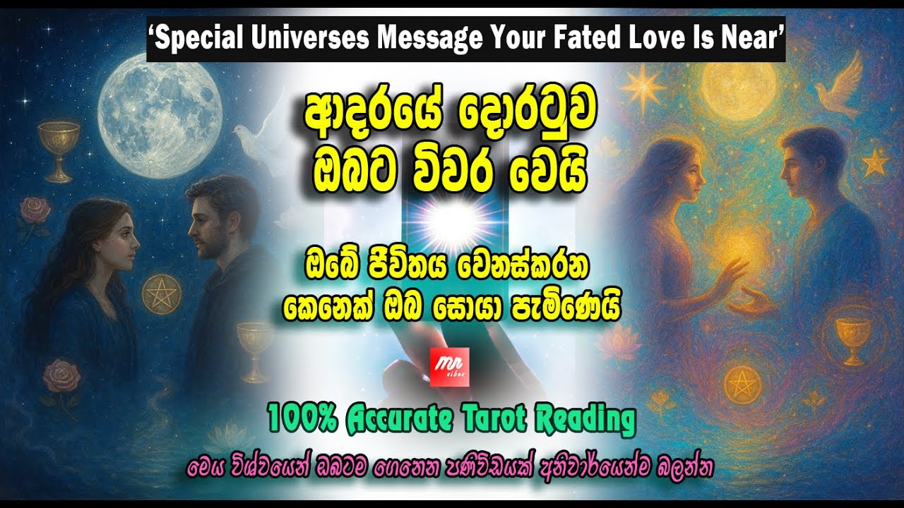 ඔබ සොයා පැමිණෙන ආදරණිය අමුත්තා/විශ්වීය බැඳීමෙන් එකතු වෙන්න/Universe Message Your Fated Love Is Near💕