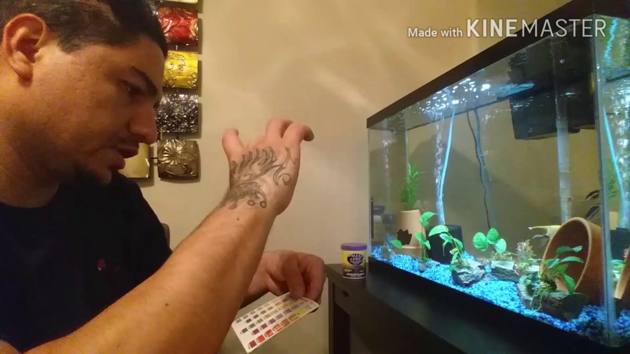 TankHead Update: Tank, Betta, pH