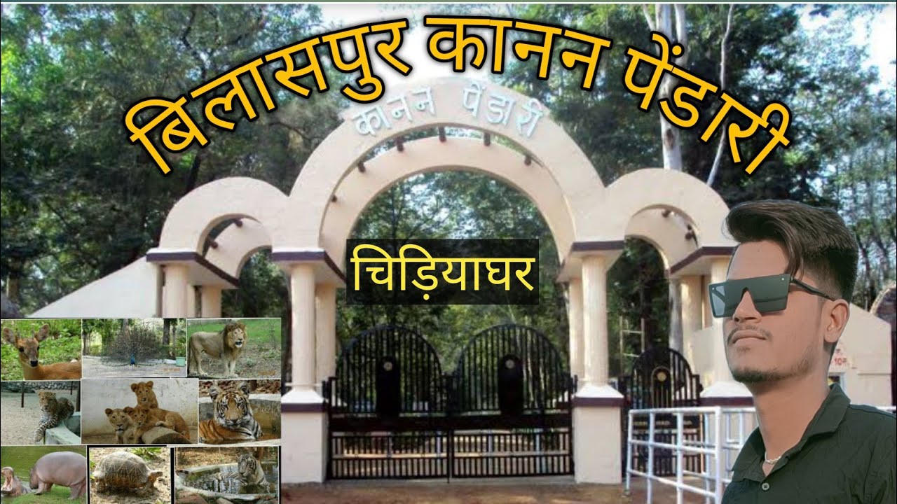 कानन पेंडारी🐒 चिड़ियाघर बिलासपुर छत्तीसगढ़/Kanan pendari Zoo Bilaspur Chhattisgarh full Visit 2022 🦍