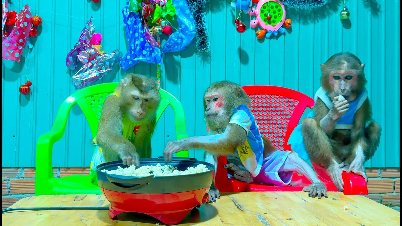 The Three Monkeys' Loving Family Meal popcorn