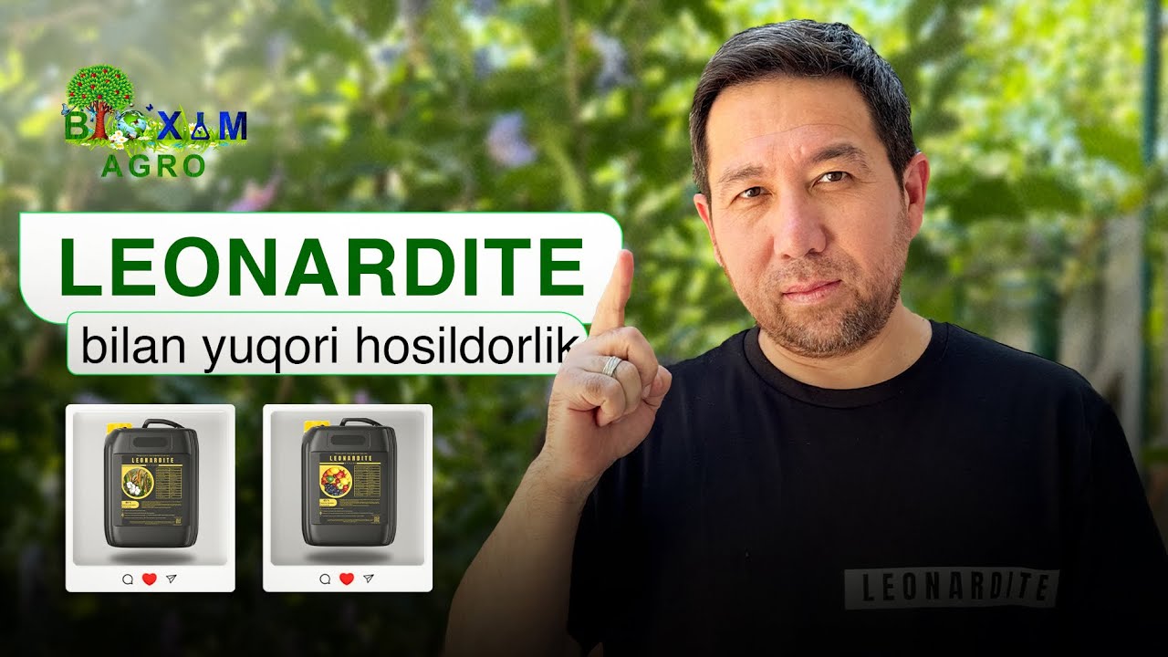 Leonardite preparati bilan hosildorlikni oshiring