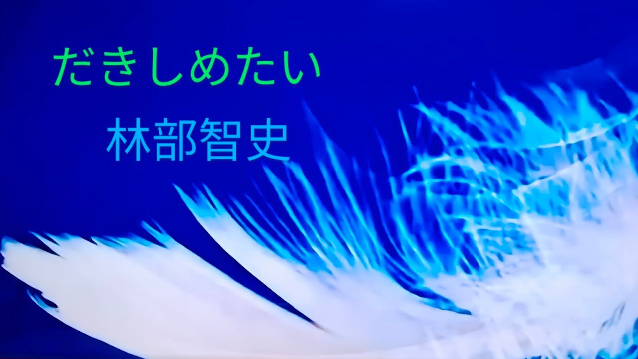 #だきしめたい