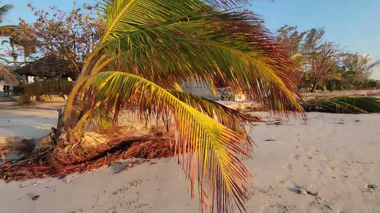 Negril 🇯🇲 After Hurricane Melissa 