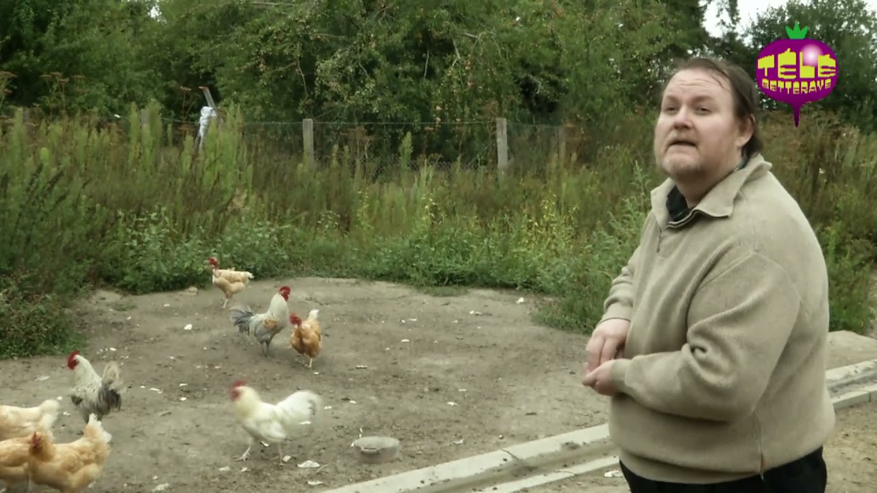 La fin de traditions rurales    Groland Le Zapoï du 0809   CANAL+