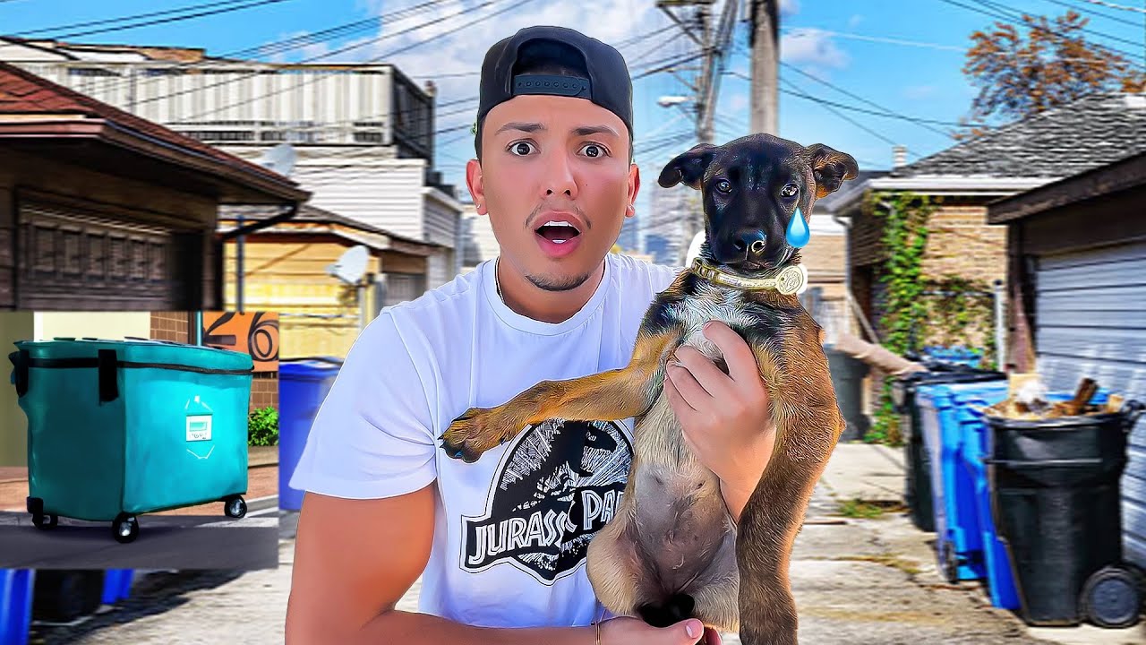 I SAVED THIS LITTLE PUPPY!!