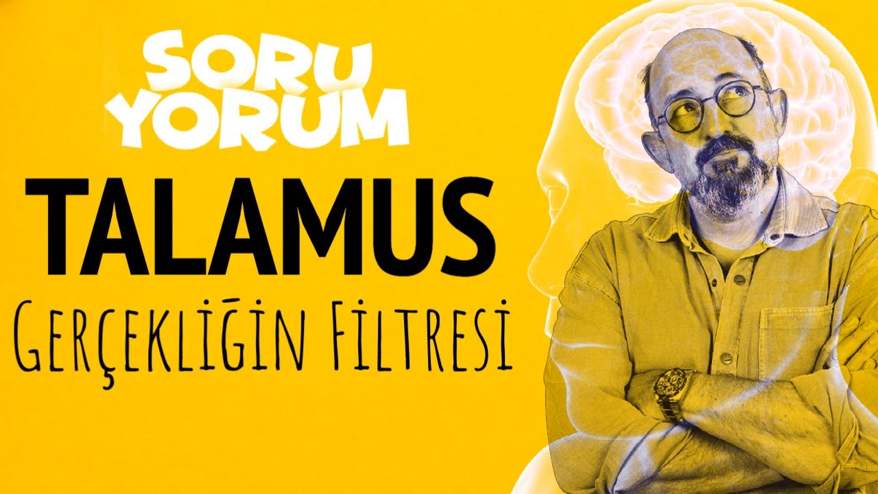 SoruYorum - TALAMUS: Gerçekliğin Filtresi