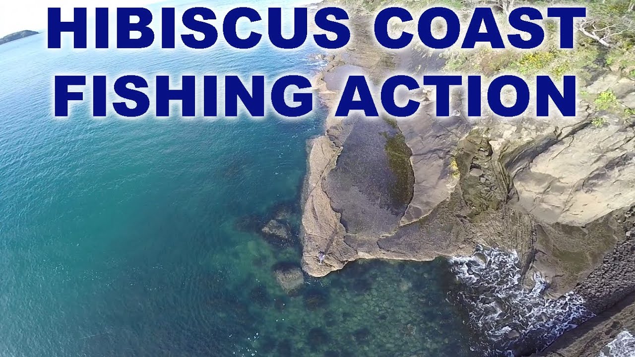 HIBISCUS COAST - NZ SNAPPER ACTION - SKY CAM, ROCK & BOAT FISHING
