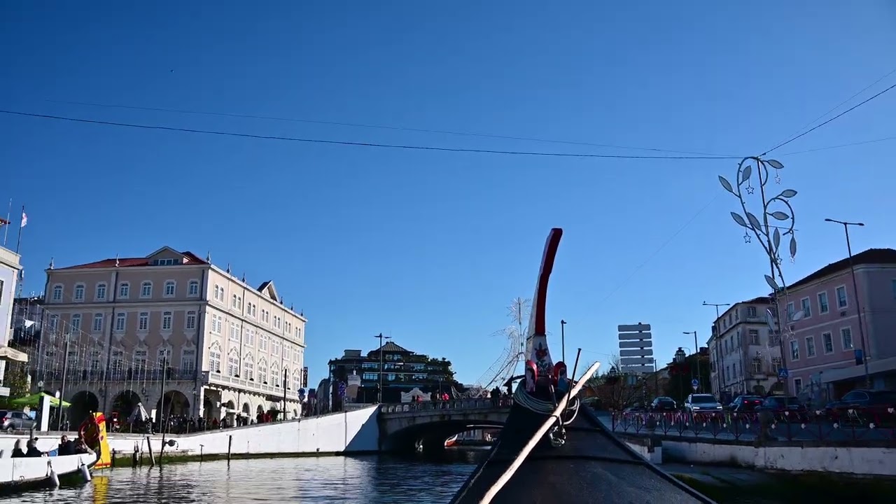 DSC 8117 Moliceiros tour - Aveiro