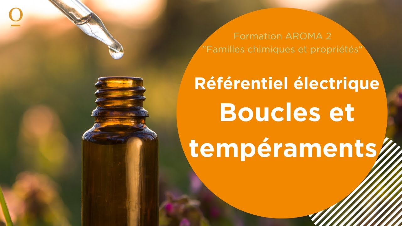 Aroma 2 / Partie 5 (sur 11) /  Référentiel Électrique 
