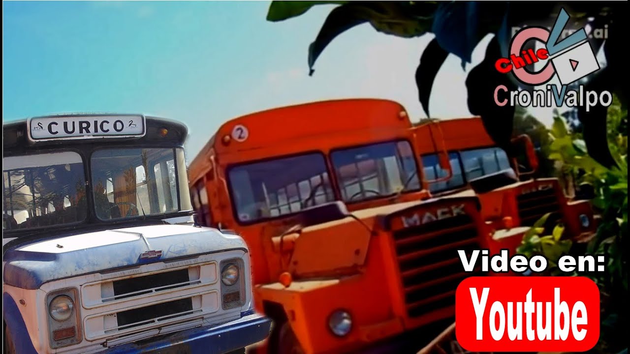 2021 Micro Buses Antiguos, Autos y Camiones En  Museo El Rungue