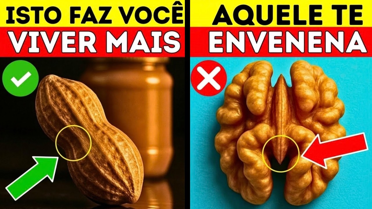 Segredos de sa&uacute;de para idosos: 4 castanhas que voc&ecirc; precisa e 4 que voc&ecirc; n&atilde;o precisa!