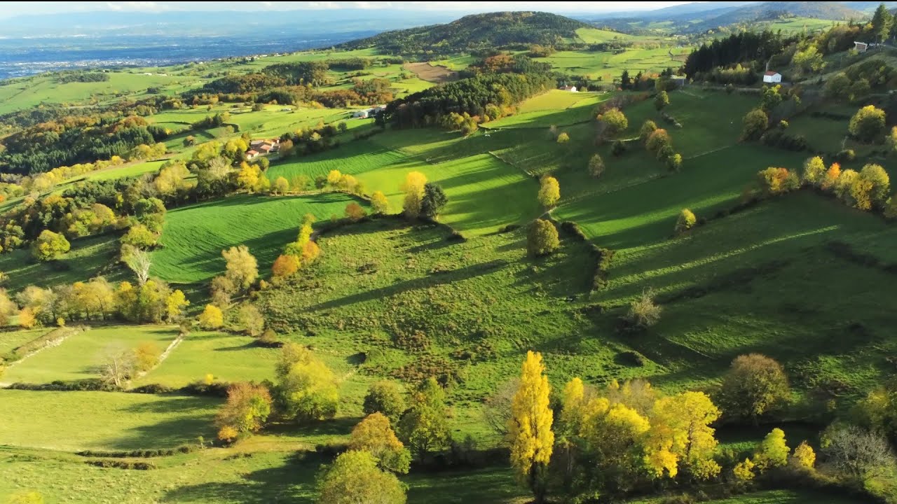 Couleurs d'automne en Haut-Forez (42)